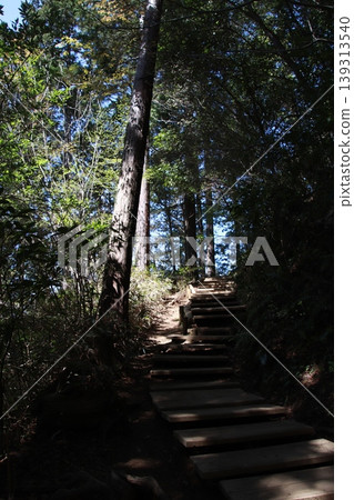 Mt. Takao Inariyama Course Mt. Takao Inariyama Course 139313540