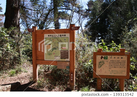 Mt. Takao Inariyama Course Mt. Takao Inariyama Course 139313542