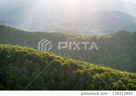 Evening landscape in Appalachian mountains. Woods nature in summer season. Colorful forest in Tennessee Evening landscape in Appalachian mountains. Woods nature in summer season. Colorful forest in Tennessee 139313893
