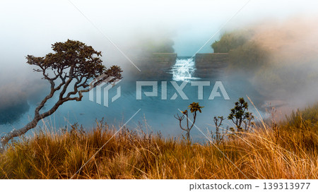 Cool foggy climate on horton plains water stream 139313977