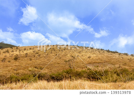 Horton Plains At an altitude of 2,100 meters above sea level and was declared a UNESCO World Heritage Site Horton Plains At an altitude of 2,100 meters above sea level and was declared a UNESCO World Heritage Site 139313978
