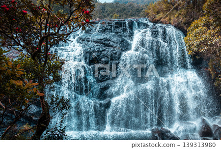 Baker's waterfalls of horton plains national park 139313980
