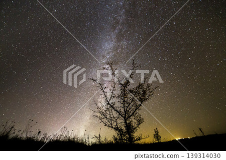 Dark contrast silhouette of tree on dark starry sky, Milky Way galaxy and distant horizon background 139314030