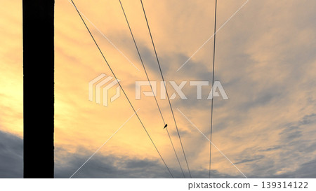 Parallel power lines meets in the horizon evening photograph Parallel power lines meets in the horizon evening photograph 139314122