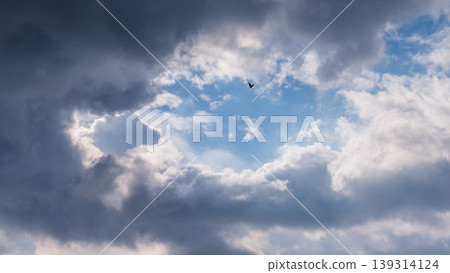 Long distant bird free flight against moody clouds Long distant bird free flight against moody clouds 139314124