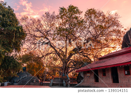Yatagala Raja Maha Viharaya beautiful evening sunset photography Yatagala Raja Maha Viharaya beautiful evening sunset photography 139314151