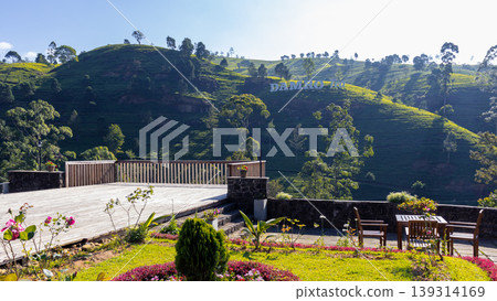 Landscape evening photograph of nuwara eliya tea Landscape evening photograph of nuwara eliya tea 139314169