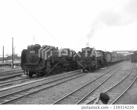 Passenger and freight trains pulled by D52 locomotives waiting to depart. Passenger and freight trains pulled by D52 locomotives waiting to depart. 139314220