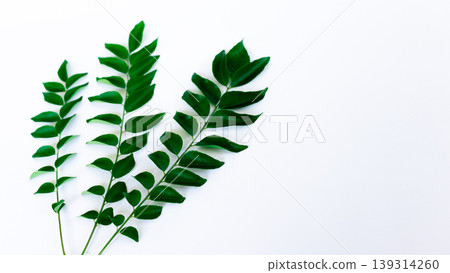 Bunch of fresh Curry Leaves on a white background vertical Bunch of fresh Curry Leaves on a white background vertical 139314260