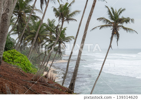 Mirissa Coconut tree hill is one of the best tourist destinations in the southern province, side ocean horizon view Mirissa Coconut tree hill is one of the best tourist destinations in the southern province, side ocean horizon view 139314620