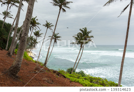 Mirissa Coconut tree hill is one of the best tourist destinations in southern province, side ocean horizon viewMirissa Coconut tree hill is one of the best tourist destinations in the southern Mirissa Coconut tree hill is one of the best tourist destinations in southern province, side ocean horizon viewMirissa Coconut tree hill is one of the best tourist destinations in the southern 139314623