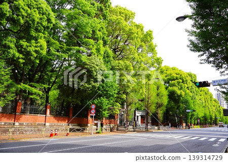 Green space in front of the main gate of the University of Tokyo (Hongo 6-chome, Bunkyo-ku, Tokyo) Green space in front of the main gate of the University of Tokyo (Hongo 6-chome, Bunkyo-ku, Tokyo) 139314729