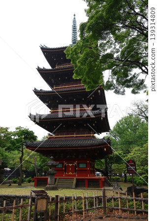 The Ueno Five-Storied Pagoda, a nationally designated important cultural property, is located within the grounds of Ueno Zoo. 139314809