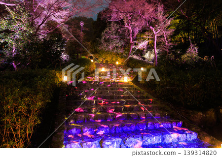 The fantastical illuminated staircase at Gifu Park during the Gifu Lantern Story event. The fantastical illuminated staircase at Gifu Park during the Gifu Lantern Story event. 139314820