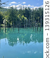 Summer in Biei: The cobalt blue of the Blue Pond and the reflection of the trees. 139315126