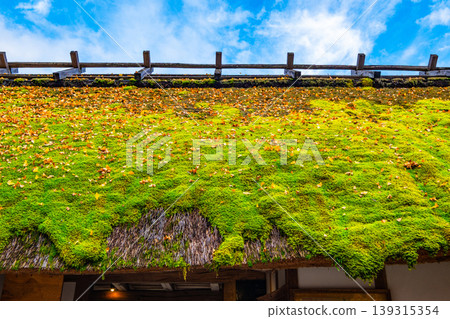 An old farmhouse with a moss-covered thatched roof and fallen leaves An old farmhouse with a moss-covered thatched roof and fallen leaves 139315354