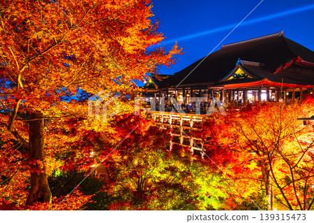 清水寺燈光璀璨的舞台與秋葉美景 139315473