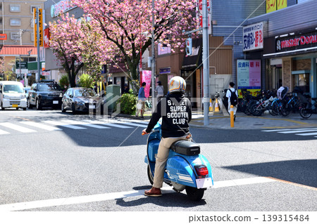 A motorcycle waiting at a traffic light on a road lined with double-flowered cherry blossoms in full bloom. A motorcycle waiting at a traffic light on a road lined with double-flowered cherry blossoms in full bloom. 139315484