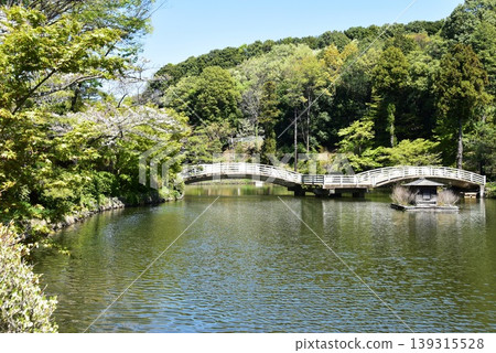 Yakushi Pond, Taiko Bridge, and cherry blossoms in full bloom at Machida Yakushiike Park Shikisai no Mori Yakushiike (Yakushiike Park) Yakushi Pond, Taiko Bridge, and cherry blossoms in full bloom at Machida Yakushiike Park Shikisai no Mori Yakushiike (Yakushiike Park) 139315528