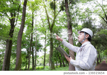 Field workers in forestry, construction management, and other fields, wearing helmets, inspecting with tablets in the forest. Field workers in forestry, construction management, and other fields, wearing helmets, inspecting with tablets in the forest. 139315654