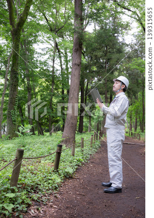 Field workers in forestry, construction management, and other fields, wearing helmets, inspecting with tablets in the forest. Field workers in forestry, construction management, and other fields, wearing helmets, inspecting with tablets in the forest. 139315655