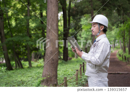 Field workers in forestry, construction management, and other fields, wearing helmets, inspecting with tablets in the forest. Field workers in forestry, construction management, and other fields, wearing helmets, inspecting with tablets in the forest. 139315657