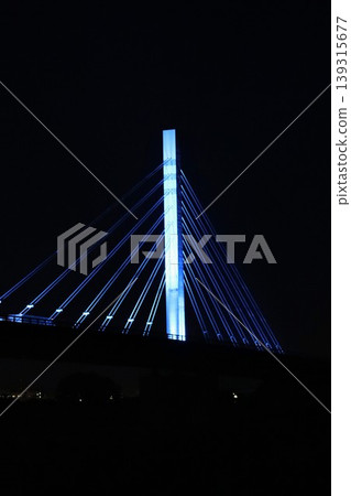 燈火通明的心跳橋 新潟市 燈火通明的心跳橋 新潟市 139315677