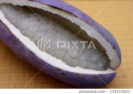 阿克比亞在榻榻米上 阿克比亞在榻榻米上 139315681