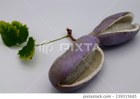 Close-up of Akebi fruit 139315685
