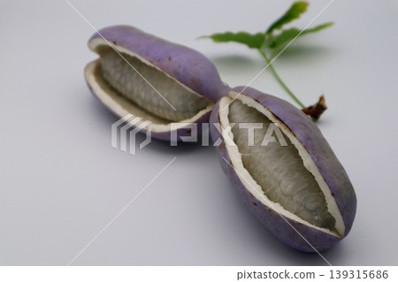 Close-up of Akebi fruit 139315686