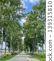 Endless blue skies and beautiful rows of birch trees – a refreshing and breathtaking view of Tokachi, Hokkaido. 139315810