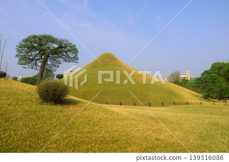 富士式假山和水前寺成趣園(熊本縣熊本市) 富士式假山和水前寺成趣園(熊本縣熊本市) 139316086