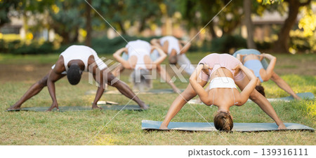 Group of people standing in balancing pose Eka Pada Pranamasana during group yoga training in summer park Group of people standing in balancing pose Eka Pada Pranamasana during group yoga training in summer park 139316111