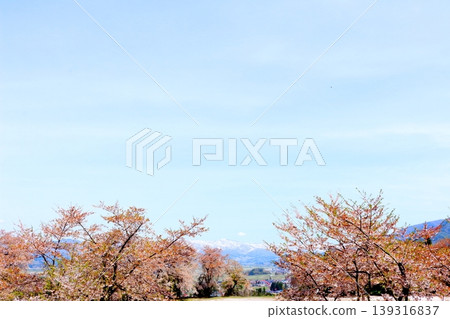 Scenery of Kijimadaira Village in April; Scenery of Shinshu; Spring rural landscape Scenery of Kijimadaira Village in April; Scenery of Shinshu; Spring rural landscape 139316837