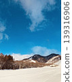 snow          139316906