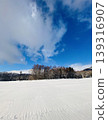 Snow field on a sunny day 139316907