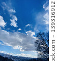 Sunny sky and trees in winter 139316912