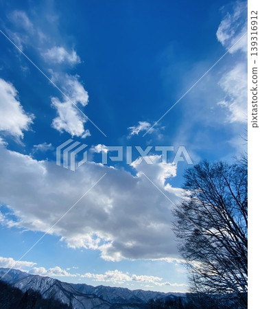 Sunny sky and trees in winter Sunny sky and trees in winter 139316912