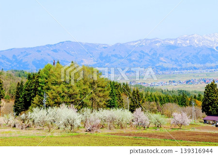 Scenery of Kijimadaira Village in April; Scenery of Shinshu; Spring rural landscape Scenery of Kijimadaira Village in April; Scenery of Shinshu; Spring rural landscape 139316944