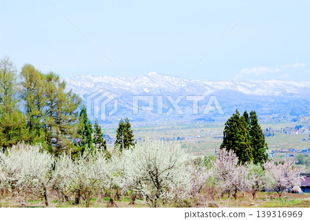 Scenery of Kijimadaira Village in April; Scenery of Shinshu; Spring rural landscape Scenery of Kijimadaira Village in April; Scenery of Shinshu; Spring rural landscape 139316969