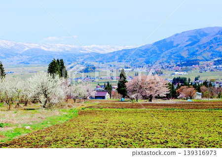 Scenery of Kijimadaira Village in April; Scenery of Shinshu; Spring rural landscape Scenery of Kijimadaira Village in April; Scenery of Shinshu; Spring rural landscape 139316973