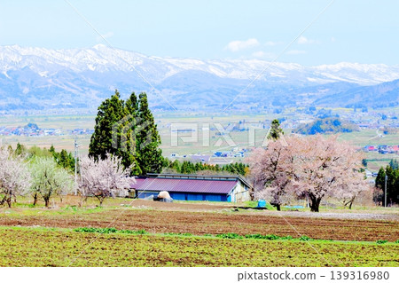四月木島平村景色;信州風景;春季鄉村風光 四月木島平村景色;信州風景;春季鄉村風光 139316980