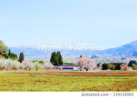 Scenery of Kijimadaira Village in April; Scenery of Shinshu; Spring rural landscape Scenery of Kijimadaira Village in April; Scenery of Shinshu; Spring rural landscape 139316985