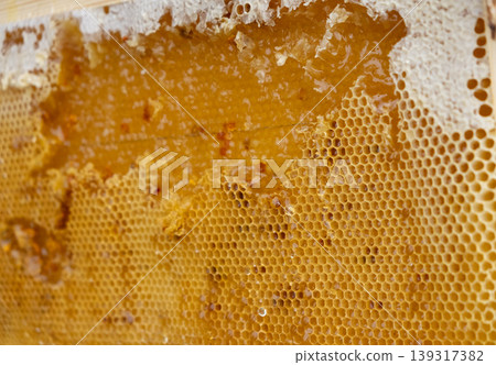 Image of a honeycomb frame filled with honey. Image of a honeycomb frame filled with honey. 139317382
