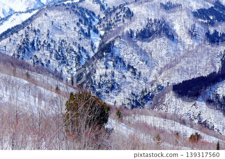 View of the Northern Alps from the summit of Mt. Iwatake in Hakuba in March; Mountains of Shinshu; Snow-capped Northern Alps View of the Northern Alps from the summit of Mt. Iwatake in Hakuba in March; Mountains of Shinshu; Snow-capped Northern Alps 139317560