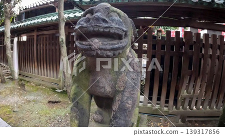 日本東京牛島神社的石像上長滿了青苔 日本東京牛島神社的石像上長滿了青苔 139317856