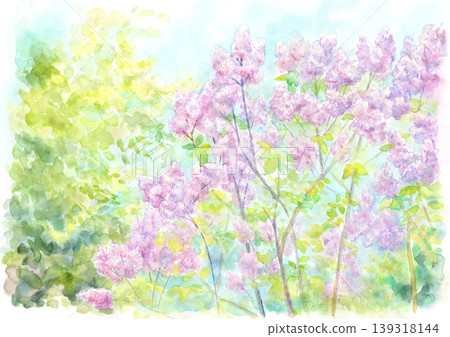 淡紫色的花 139318144