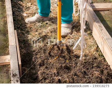 Woman gardener using manual cultivator to loosen soil in raised garden bed. Agricultural work and soil preparation in greenhouse. Hobby gardening, small farm and organic food production. Woman gardener using manual cultivator to loosen soil in raised garden bed. Agricultural work and soil preparation in greenhouse. Hobby gardening, small farm and organic food production. 139318273