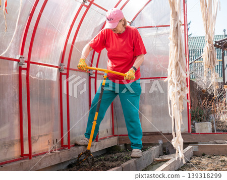 Woman gardener using manual soil cultivator in greenhouse. Senior lady working in garden, softening earth before planting vegetable. Organic farming and spring seasonal yard work activity. Woman gardener using manual soil cultivator in greenhouse. Senior lady working in garden, softening earth before planting vegetable. Organic farming and spring seasonal yard work activity. 139318299