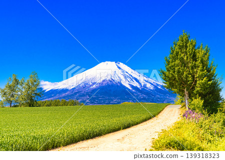 一張由美瑛美麗的鄉村景色和富士山合成的圖片。 一張由美瑛美麗的鄉村景色和富士山合成的圖片。 139318323